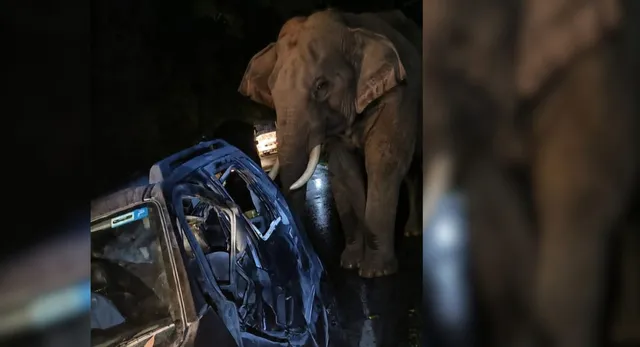 मरचूला हाईवे पर गजराज का तांडव: कार पर हमला, बाल-बाल बचा चालक; हवाई फायरिंग कर ‘टस्कर’ को खदेड़ा