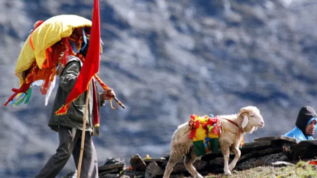 12 साल बाद उत्तराखंड में आज शुरू होगी मां नंदा देवी की बड़ी जात, 296 किमी दूरी पैदल तय कर पहुंचेगी कैलास